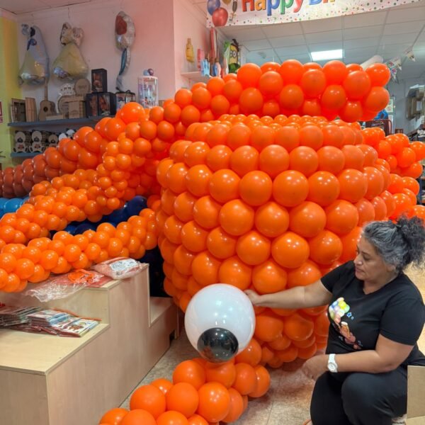 WhatsApp Image 2026-02-04 at 10.48.12 PM